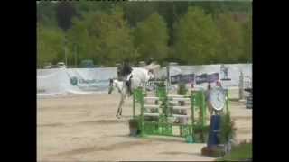 David Goodwin and Warrego Jericho Odense CSIO 3* 1.60m Grand Prix