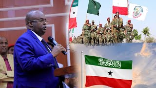 Wasiirka Gaashaandhigga Somaliland ayaa sheegay in la qaramayn doono Ciidamada Madaniga ah.