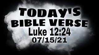 TODAY'S BIBLE VERSE I Luke 12:24 I BIBLE VERSE I #BIBLETV