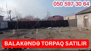 1238 Balakəndə 4.5 sot torpaq satılır. Qiyməti 25 500 azn.