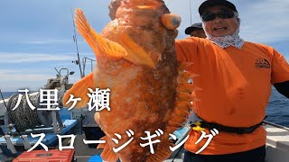 【スロージギング】【クロマグロ産卵に遭遇】八里ヶ瀬でスロージギング！