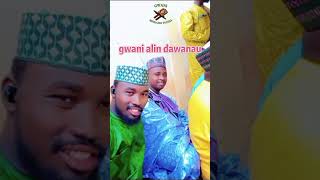 Gwani alin dawanau