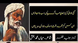 Punjabi Poetry Lyrics||Sufi Kalaam|Baba Farid  Voice JunaidZafar|Saeed Aslam Poetry