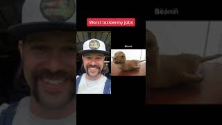 The Worst Taxidermy Mounts Ever