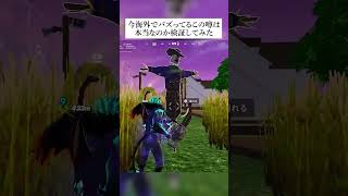 今海外でバズってるこの噂は本当なのか検証してみた #フォートナイト #fortnite #小ネタ #小技