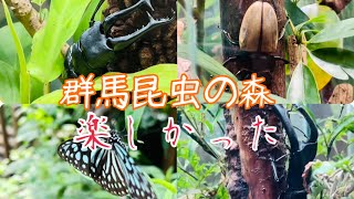 群馬昆虫の森🐞🌳９月2024 || Gunma Insect World