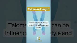 Brace yourself for this revelation! Your lifestyle and habits can influence your telomere length!