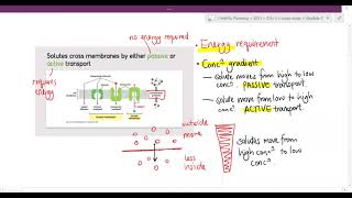 [WEEK 3] Module 2. learning objective 2 part 1