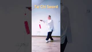 Tai Chi Sword #kungfu #太极 #太極拳 #taijiquan #taichisword