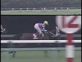 サクラローレル 1994年 第48回ラジオ日本賞 セントライト記念 gii 優勝馬：ウインドフィールズ