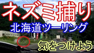 【ネズミ捕り】北海道ツーリング　レーダー式　スピード違反　取締り