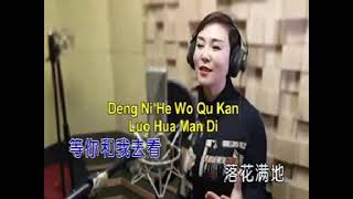 LAI YU BU LAI WO DOU ZAI DENG NI ( 来与不来我都在等你 ) PINYIN LYRICS