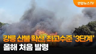 강릉 산불 확산, 최고수준 '3단계' 발령…올해 처음 / 연합뉴스TV (YonhapnewsTV)