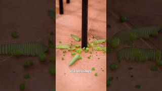 What Is Dandruff, Really? 🤔 Surgeon Reacts