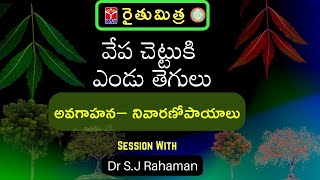 రైతుమిత్ర - వ్యవసాయం|| వేప చెట్టుకి ఎండు తెగులు౼అవగాహన౼ నివారణోపాయాలు ||  Dr S.J Rahaman