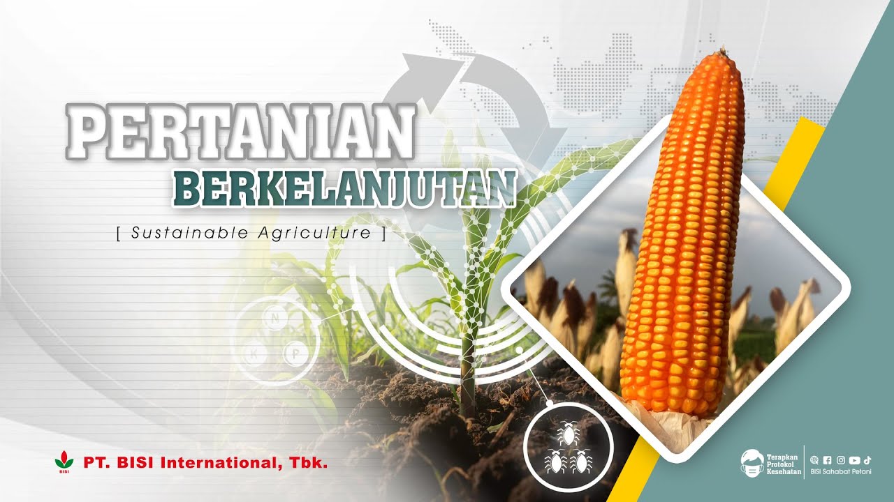 PERTANIAN BERKELANJUTAN #sustainableagriculture - YouTube