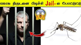 கொசு திருடனை Police-ல பிடிச்சி கொடுத்துட்டு 😧🤔 / Unknown facts in tamil #Shorts