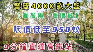 #大灣區買樓｜肇慶篇｜雅居樂.#香港城，占地4000畝的超級大型屋苑，單價才900幾蚊一呎，9分鐘到高鐵站，90分鐘直達香港｜是否真抵買！？