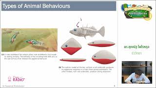วิชาชีววิทยา ตอนที่ 9 (พฤติกรรมสัตว์ II)
