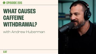 What causes caffeine withdrawal? with Andrew Huberman | The Proof clips EP 205