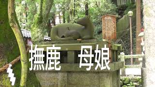 枚岡神社