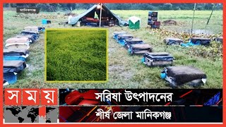 ফসলের ক্ষেতে জমে আছে পানি; ক্ষতির শঙ্কায় দিশেহারা কৃষকরা! | Manikganj News | Somoy TV