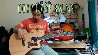 Review Cort GA5F BW NS - Filosofi Gitar