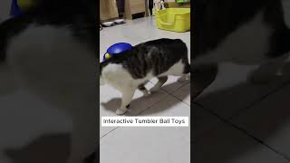 Hilarious Cat Reactions to the Glampaw Interactive Tumbler Ball!