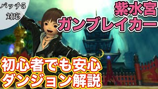 【FF14】紫水宮にガンブレイカー(タンク)で挑戦【紅蓮レベリング パッチ5】