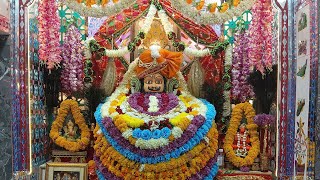 Shri Shyam Sarkar Kirtan 08/01/2025