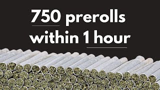 Automated Joint Rolling Without Compromise | RollPros
