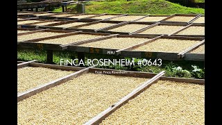 Finca Rosenheim 0643 | Journal | Discover the beauty of Specialty Coffee | XLIII Coffee