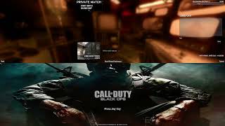 How to Play Split Screen On Black Ops PC