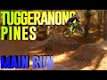 TUGGERANONG PINES | MAIN RUN