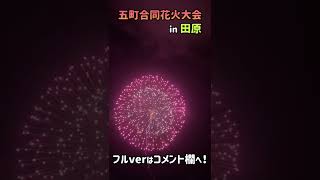 【田原祭り 花火🎆】田原祭り五町合同花火大会2022その１#shorts