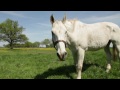 wasserkraft leben teil 1 tourismus region elbe imagefilm