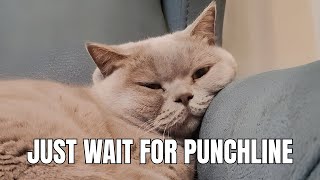 Funny Jokes Compilation #19