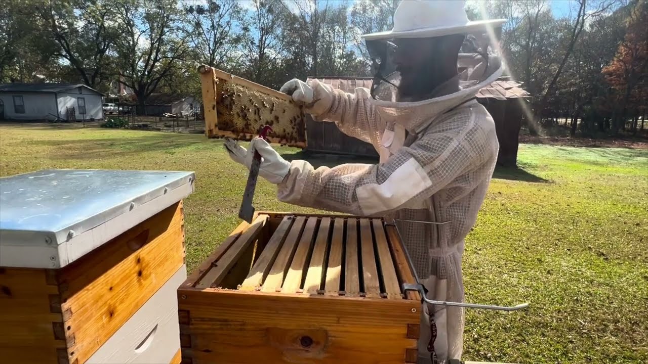 Winter Honeybee Feeding Inspection - YouTube