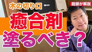 癒合剤を塗る理由と箇所とタイミングの話【庭師が解説】腐朽菌の侵入を防ぐ