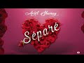 ARIEL SHENEY - SEPARE ( Audio Officiel )