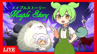 【MapleStory】268になるまで狩りをします【ゆかり鯖】