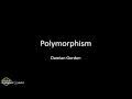 Python: Polymorphism