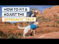 How to Fit & Adjust the Ruffwear Approach™ Dog Backpack