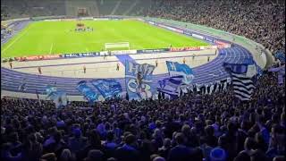 Fan Gesang Hertha BSC