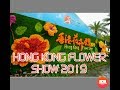 Hong Kong Flower Show 2019 | Carah Gwen