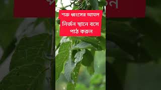 নির্জন স্থানে বসে পড়ুন...#shorts #youtubeshorts #viralvideo #viralshorts