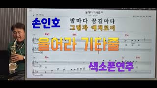 *울어라 기타줄*(손인호)#송형섭색소폰연주.매직사운드 녹음.