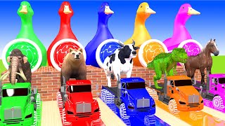 5 Giant Duck Cartoon,Tiger, Cow,Lion,Paint Wild Animals Crossing Fountain Animation