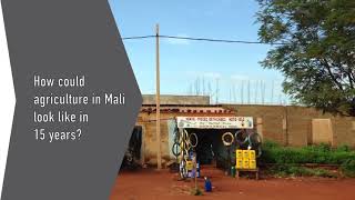 Mali has a big potential in agribusiness