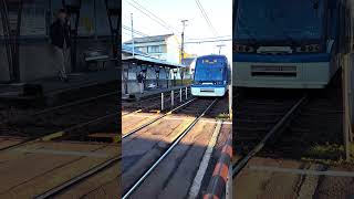 【鹿児島市電7004号】  【二軒茶屋3号踏切】を通過します。　#shorts #鹿児島市電#tram